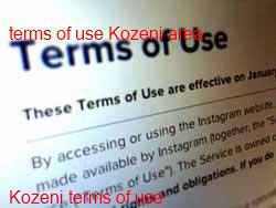 Kozeni Web Site Terms and Conditions of Use Akasia Pretoria North
