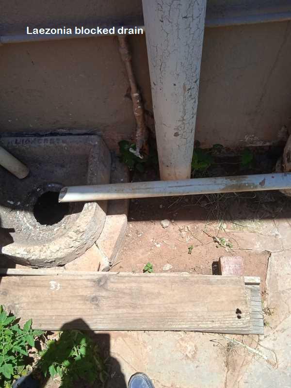 Laezonia blocked drain cleaners