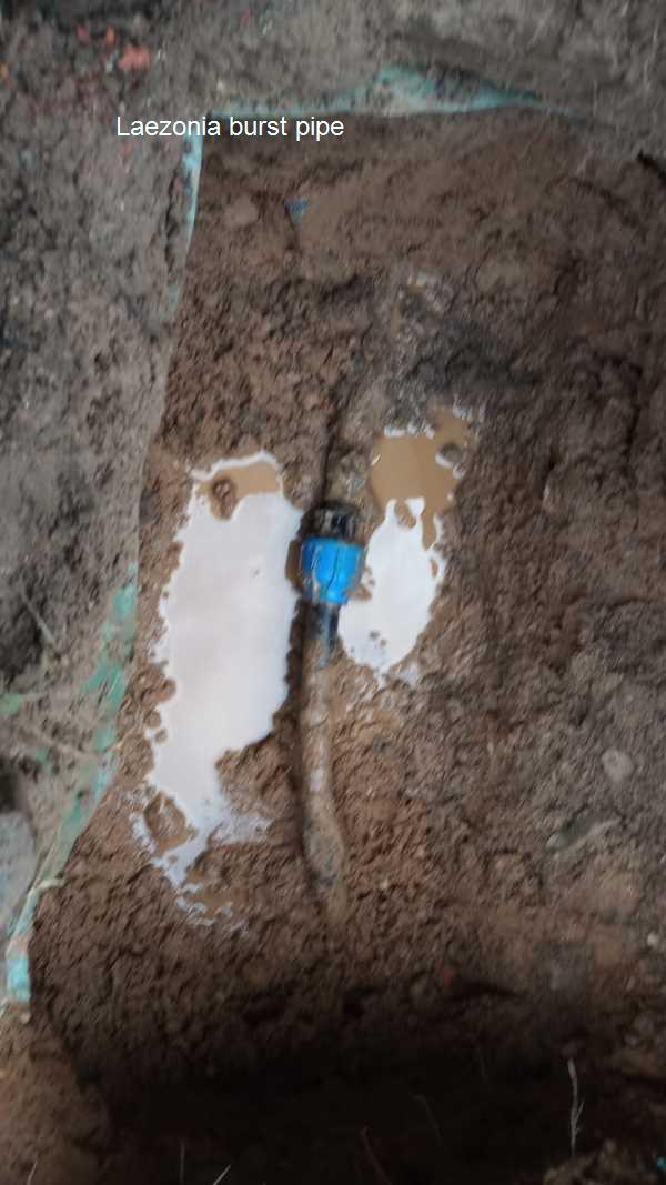 Laezonia burst pipe repair