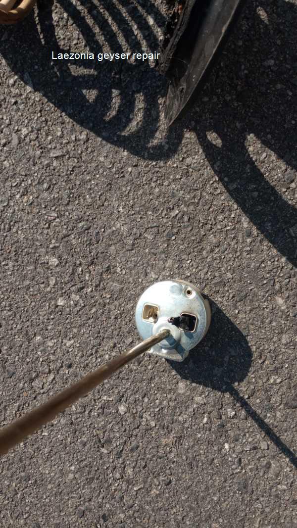 Laezonia geyser repair