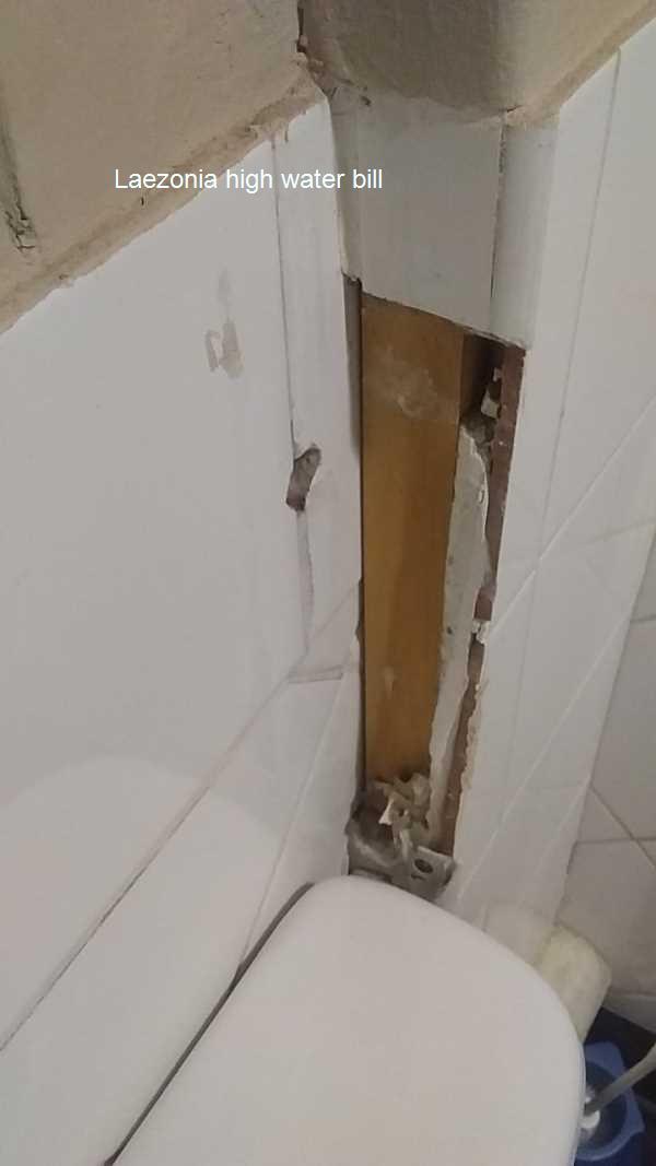 Save money and the planet by fixing your high water bill in Laezonia