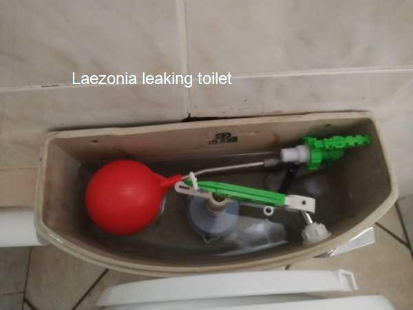 Leaking toilet in Laezonia. Toilet leaks can disrupt your life and create stress. Our dedicated team provides prompt service to diagnose and fix issues, ensuring your bathroom remains functional. Contact us for reliable help!