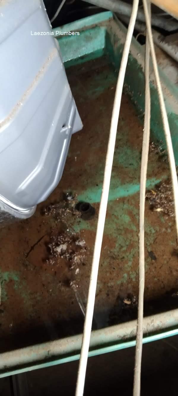 Laezonia local plumbers offering free call out fees