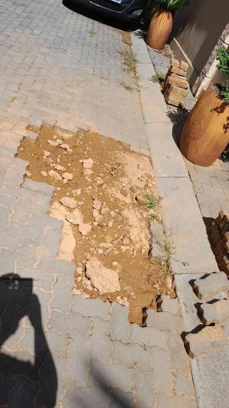 Underground water pipe exposed after professional leak detection