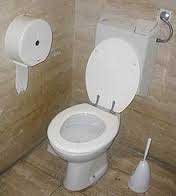 Leaking toilet in Gauteng 