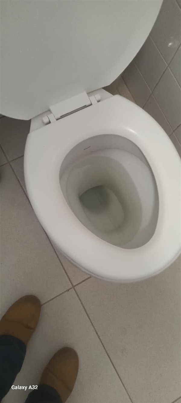 Sludge build-up in blocked toilet