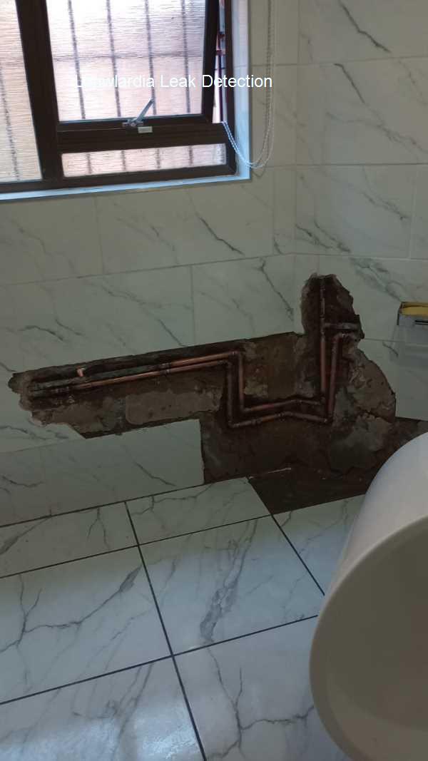 Louwlardia Leak detection