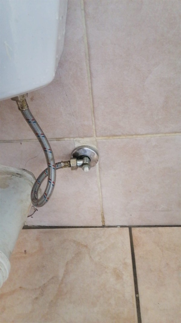 Steady dripping from toilet flexi pipe in Lynnwood Park