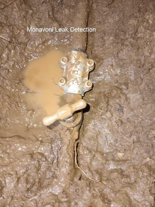 Monavoni Leak detection