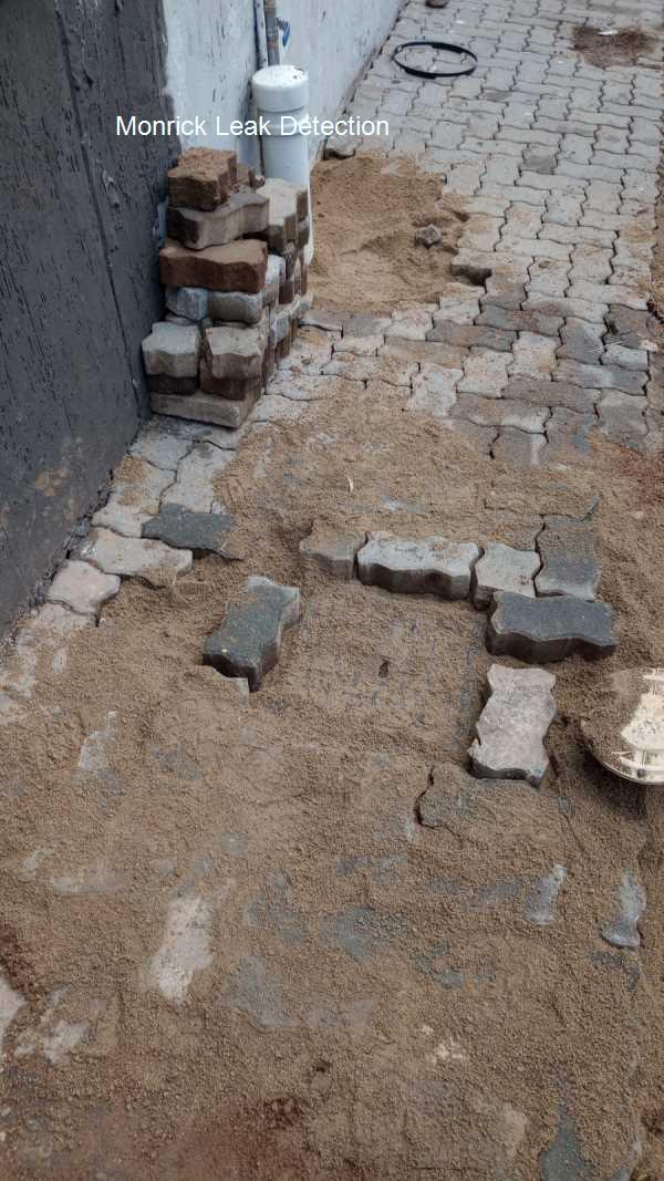 Monrick Leak detection