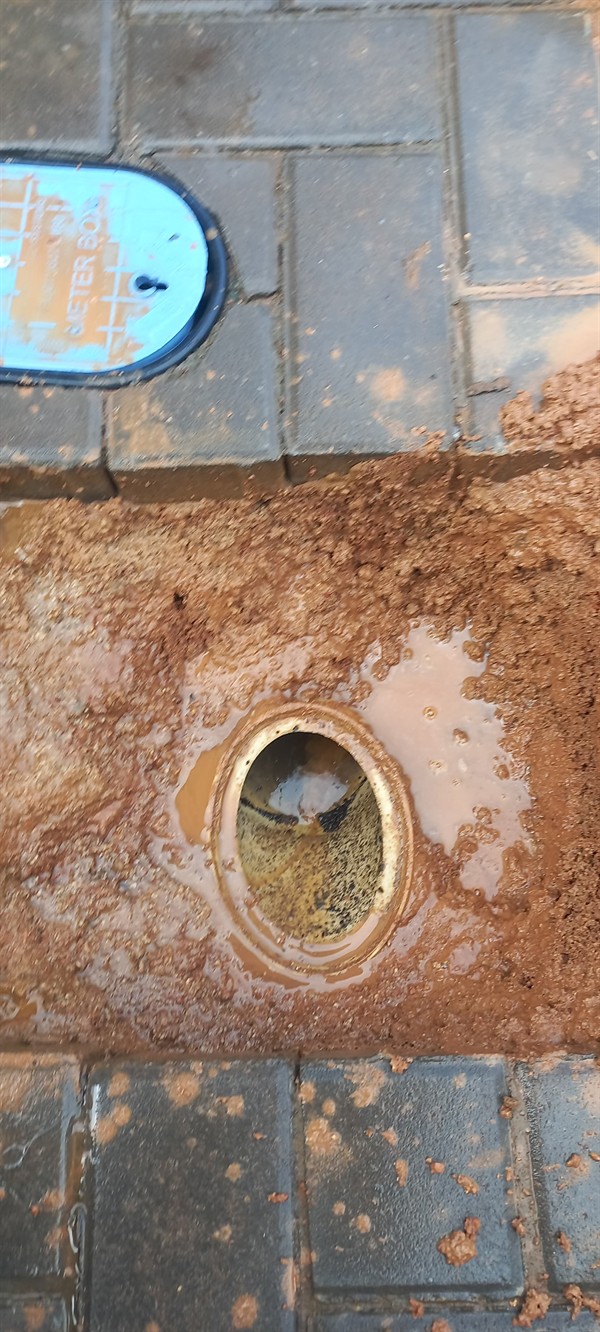 Drainage problem solved after clearing