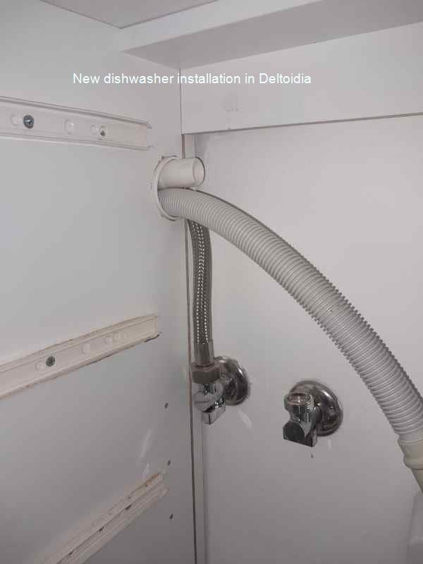 Deltoidia new dishwasher installation