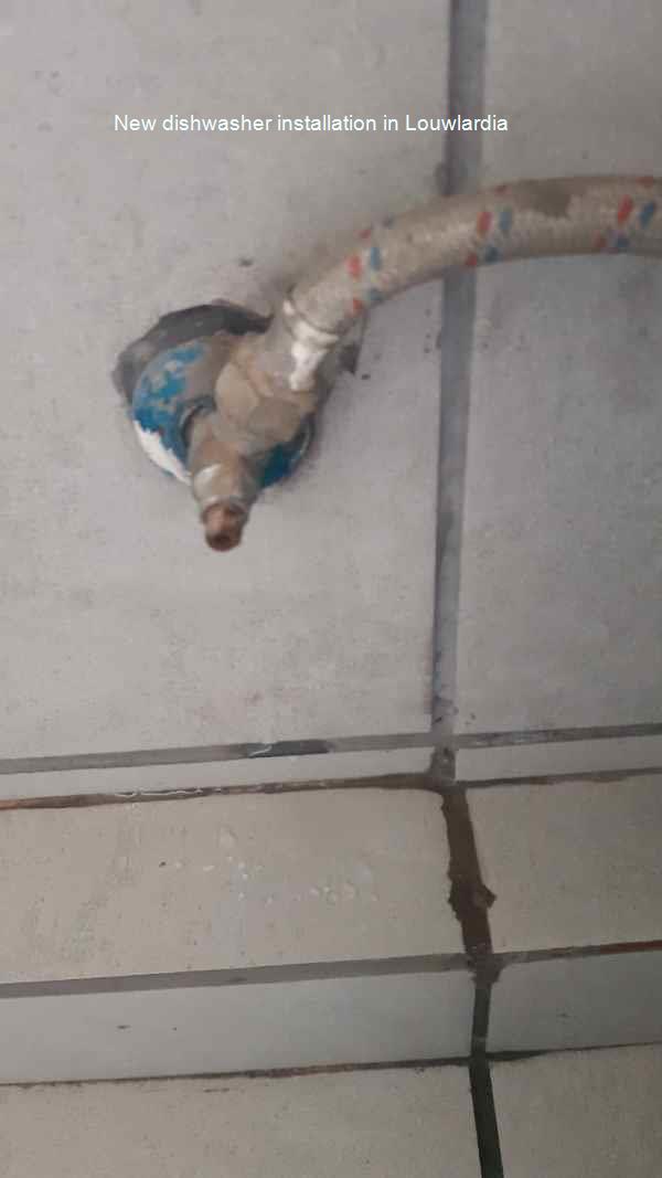 Louwlardia new dishwasher installation