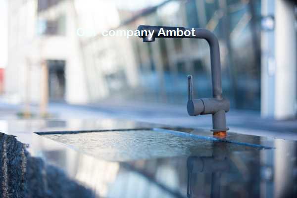 Our company has many individuals, but one thing remains the same: we all work as one in Ambot.