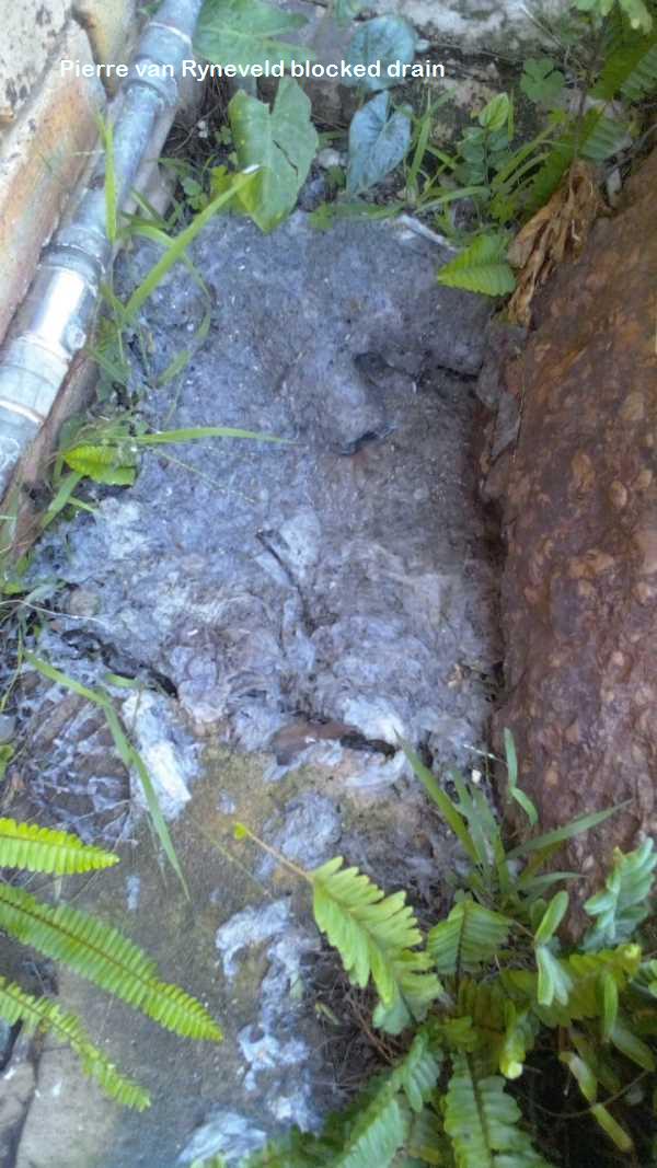 Pierre van Ryneveld blocked drain cleaners