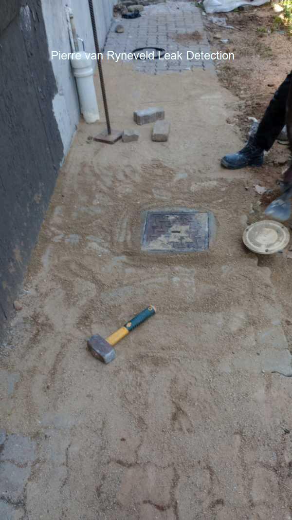 Pierre van Ryneveld Leak detection