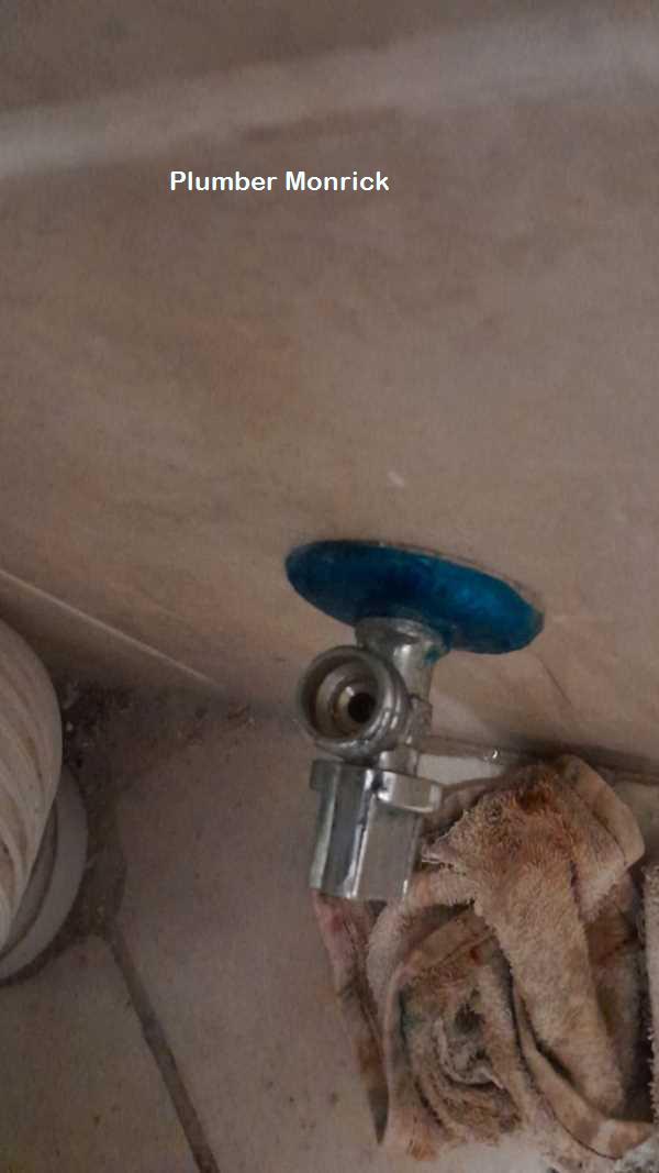 Plumber Monrick repairing plumbing systems in Monrick