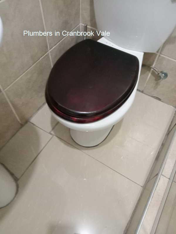 Plumbers in Cranbrook Valeensures your plumbing is in tip-top shape, and we offer a free call-out fee.