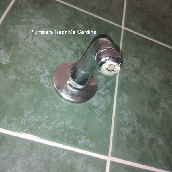 Plumbers near me Cardinal