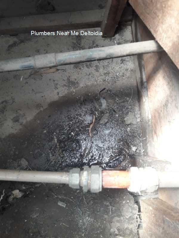 Plumbers near me Deltoidia