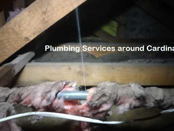 Plumbing services around Cardinal