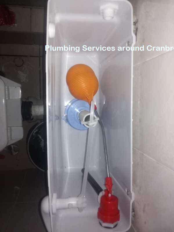 Plumbing services around Cranbrook Vale