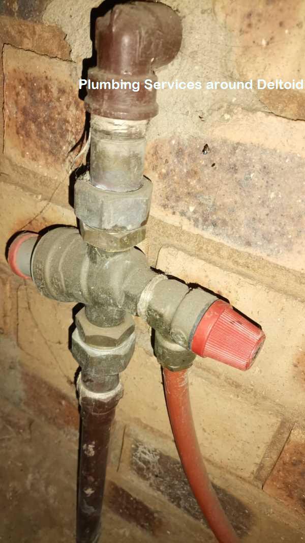 Plumbing services around Deltoidia