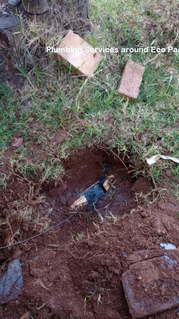 Plumbing services around Eco Park