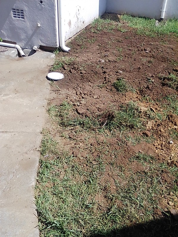 Water escaping from underground burst pipe causing damp areas in Randskou