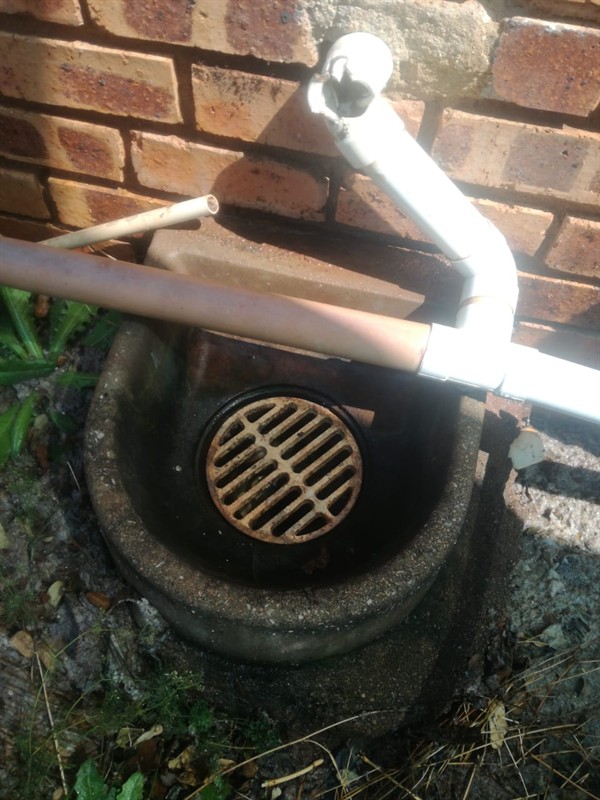 Blocked gulley drain with visible clog