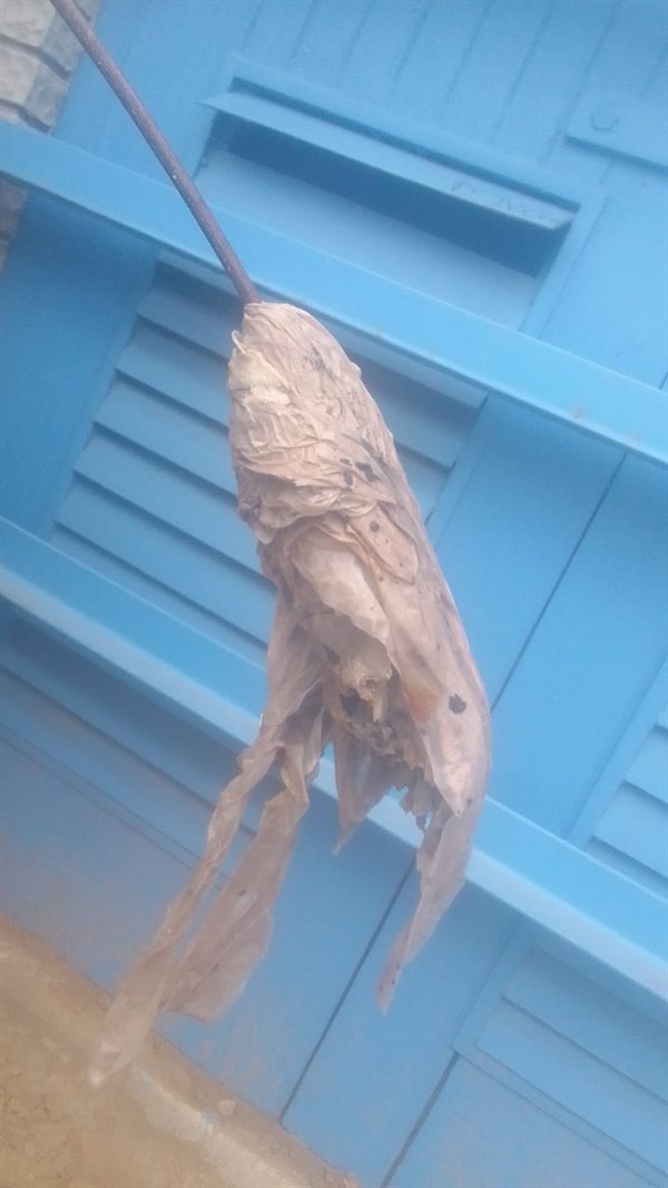 Drain line cleaned after blockage removal