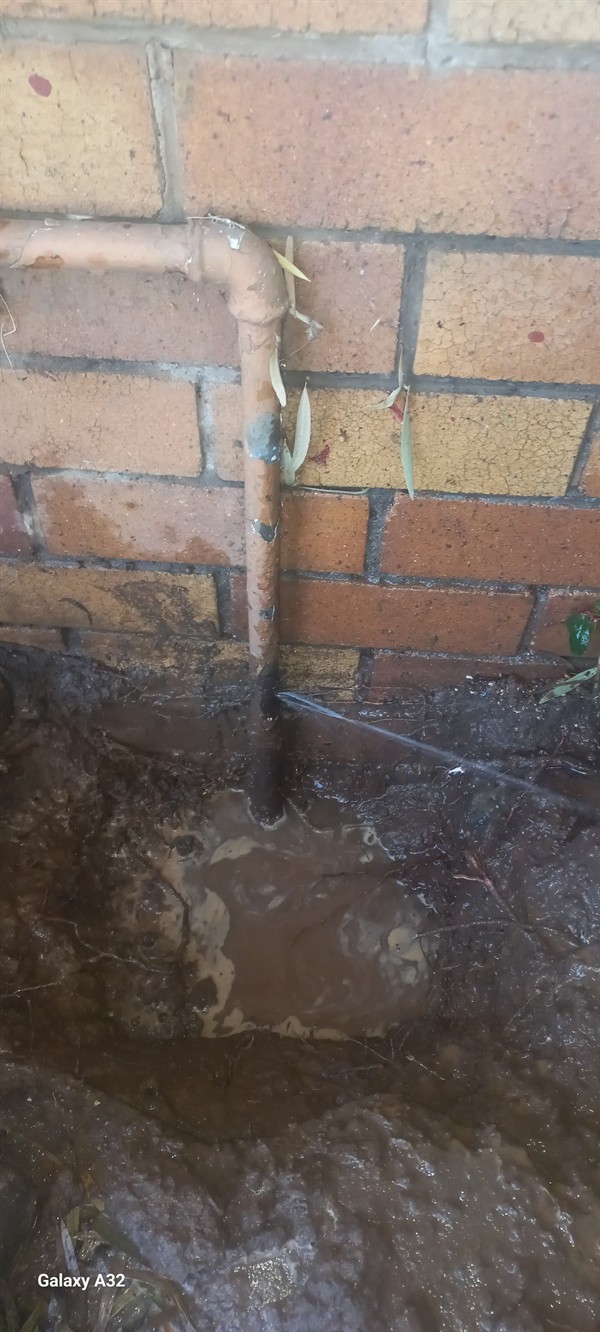 Hair and soap clog visible in blocked drain