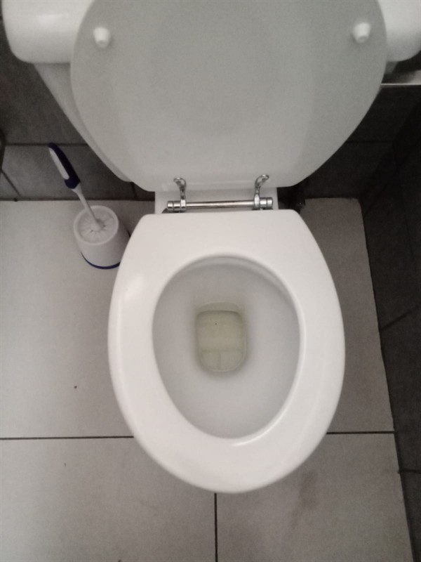 Reliable flushing restored after toilet clearing