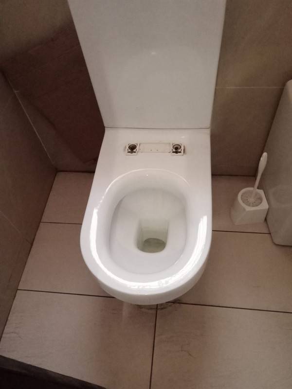 Technician clearing blocked toilet