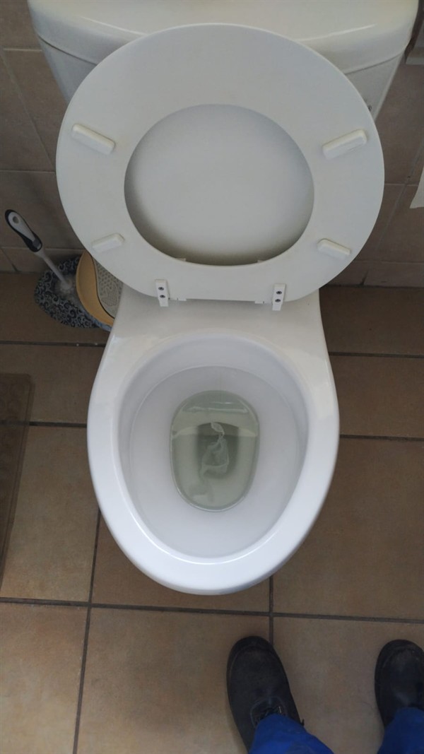 Too much toilet paper blocking toilet