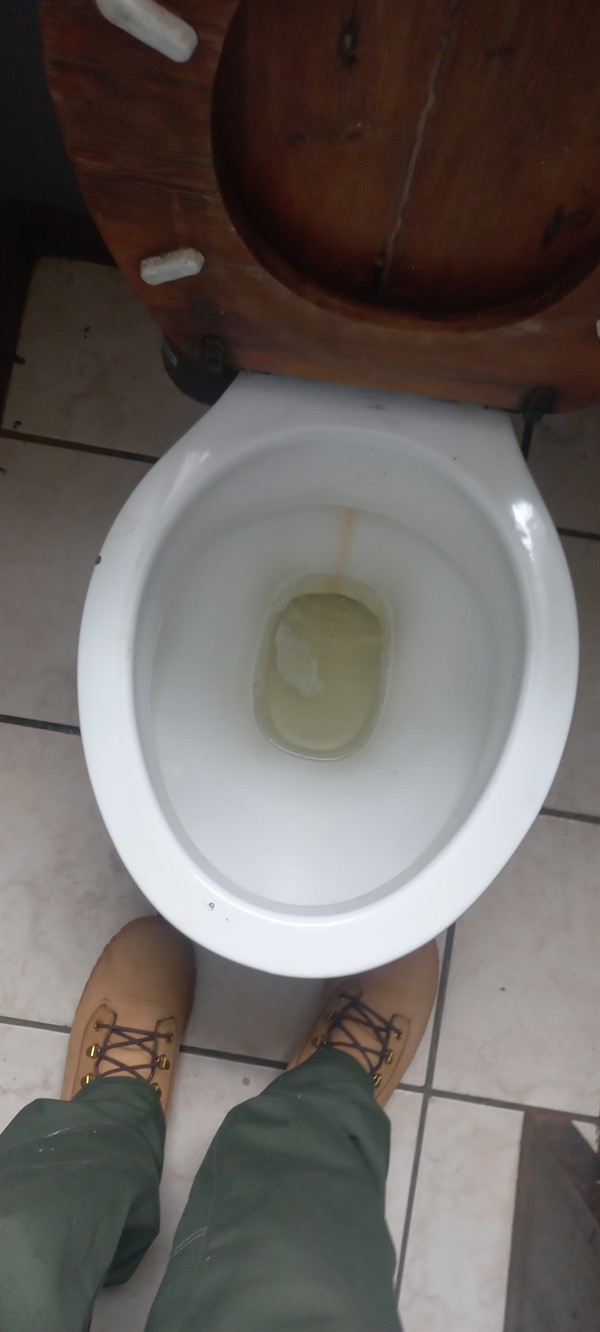 Plumber clearing blocked toilet trap