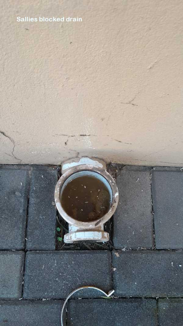 Sallies drain cleaners