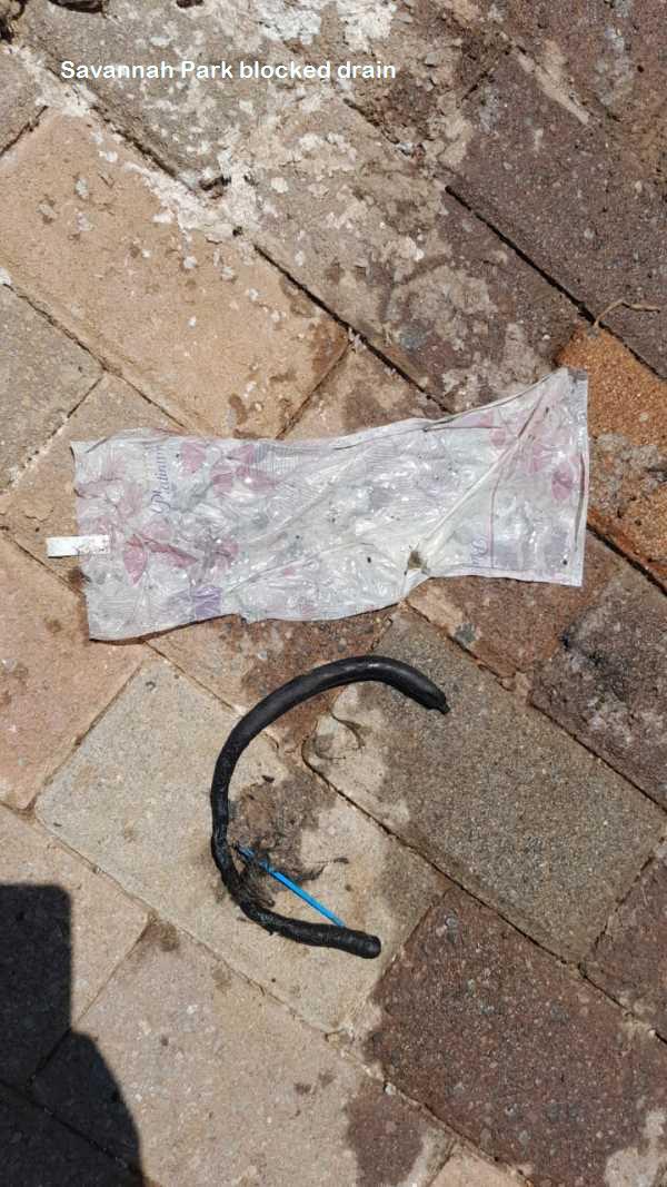 Savannah Park blocked drain cleaners