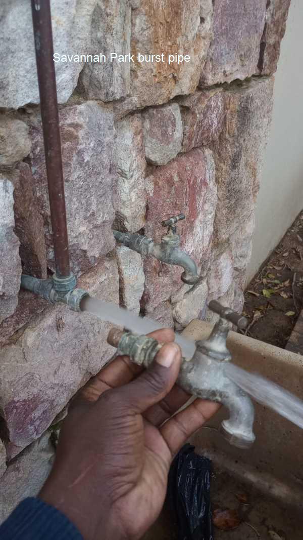 Savannah Park burst pipe repair