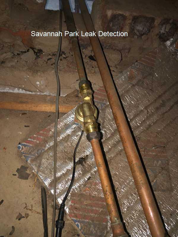 Savannah Park Leak detection