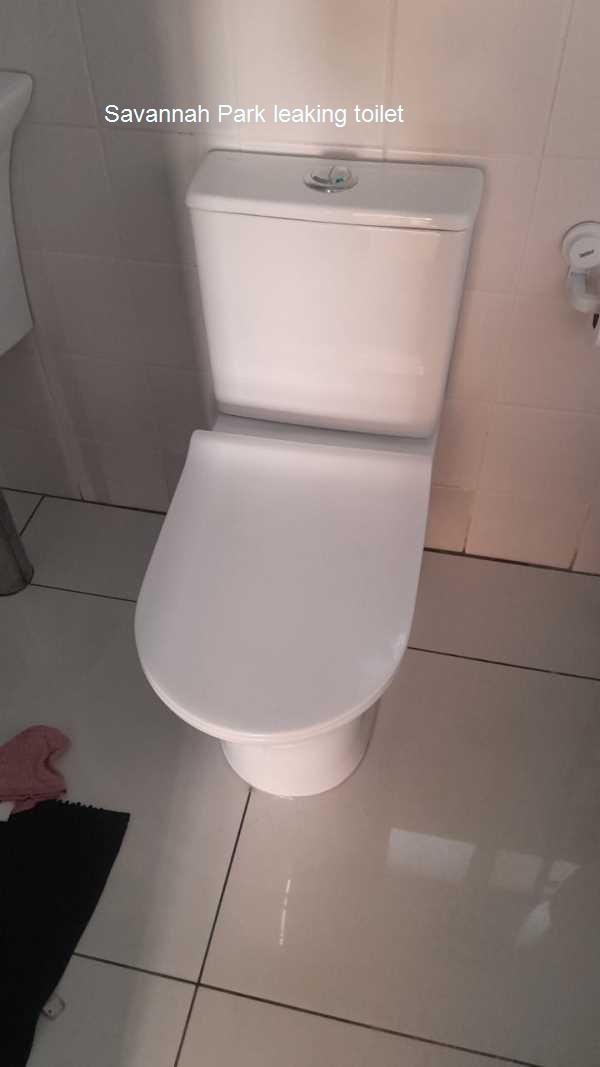 Leaking toilet in Savannah Park. Toilet leaks can lead to mold growth and water damage. Our skilled plumbers offer prompt repairs to prevent these issues and keep your home safe. Call us for reliable service!