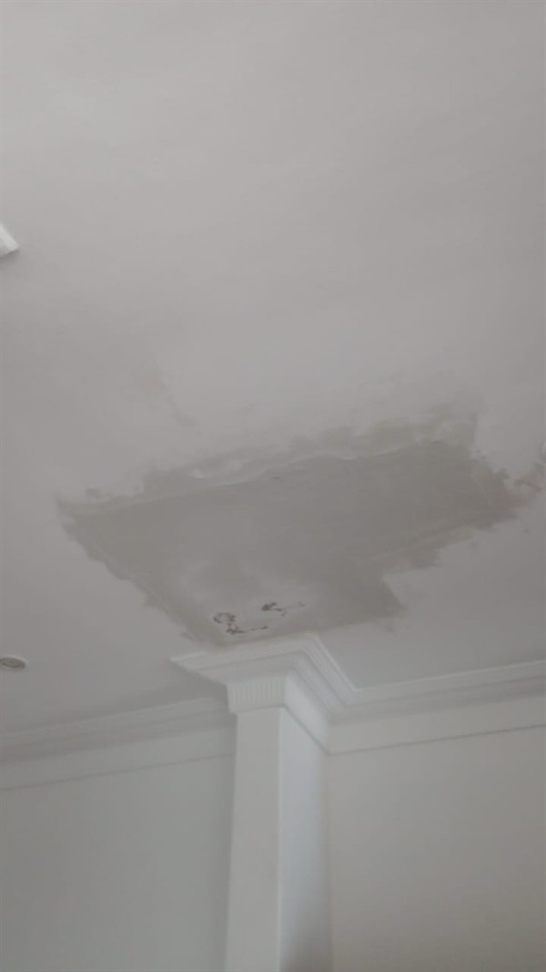 Visible wet marks from wall damp in Scientia