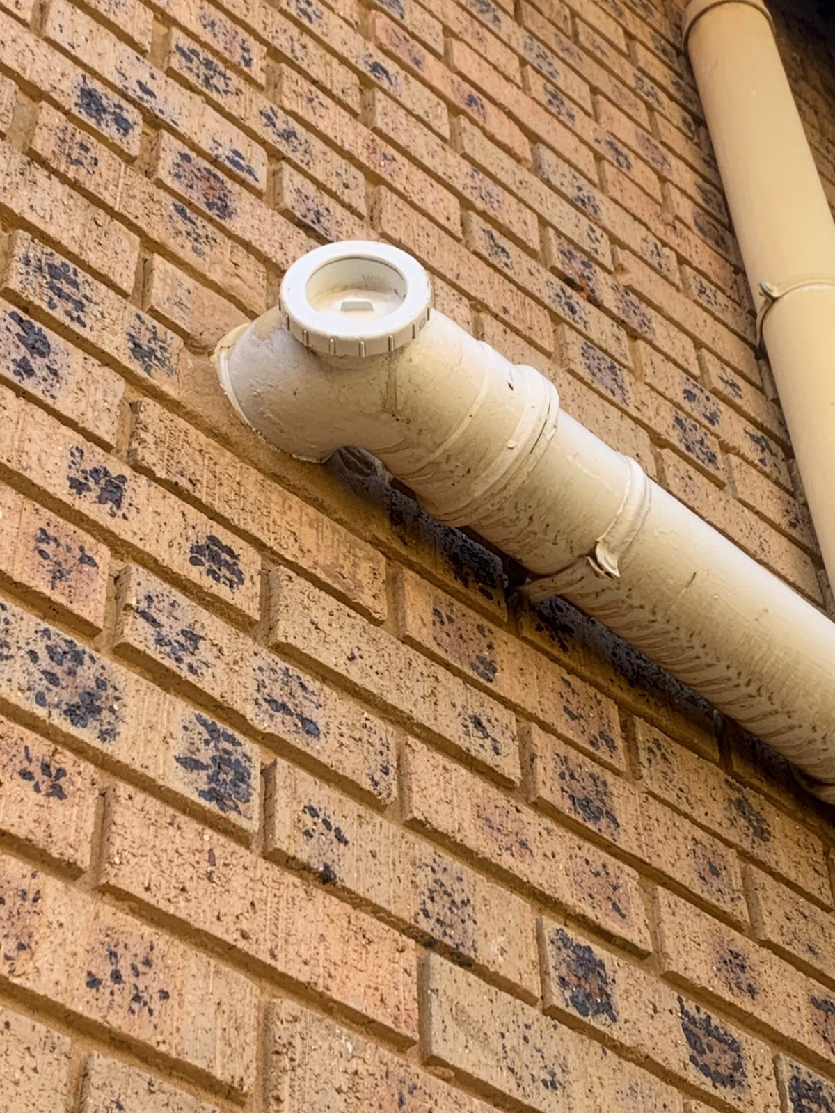 Sewer line repair in Cresta, showing external PVC sewer pipe with inspection opening on brick wall after repair to restore proper drainage and prevent sewer leaks.