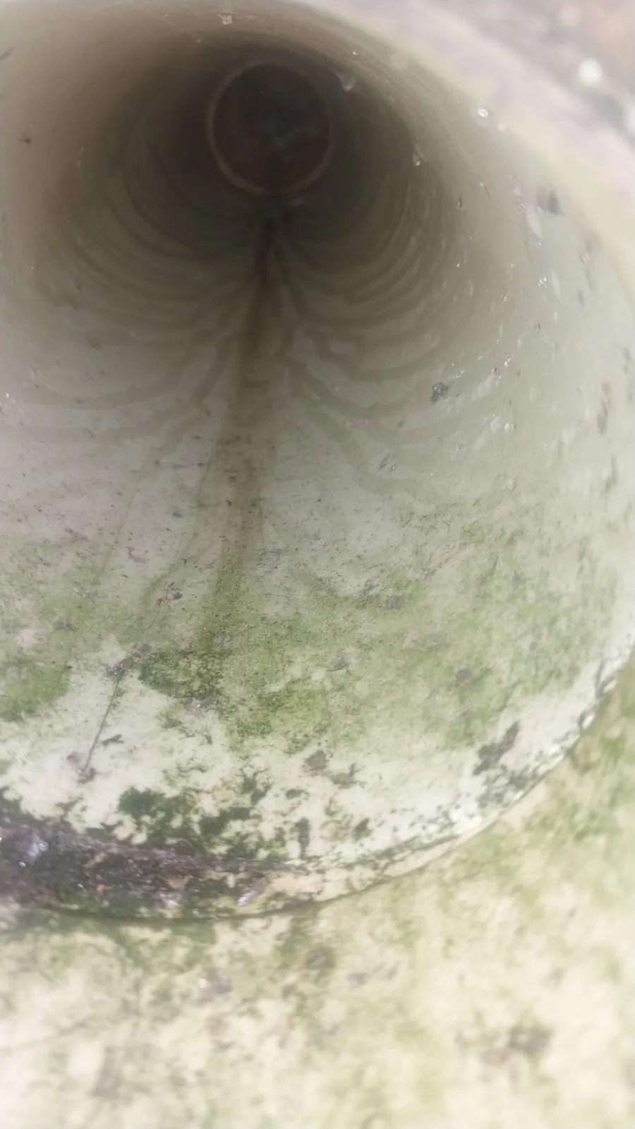 Sewer Lines, Roots And Camera Inspections Sewer Lines, Roots and Camera Inspections