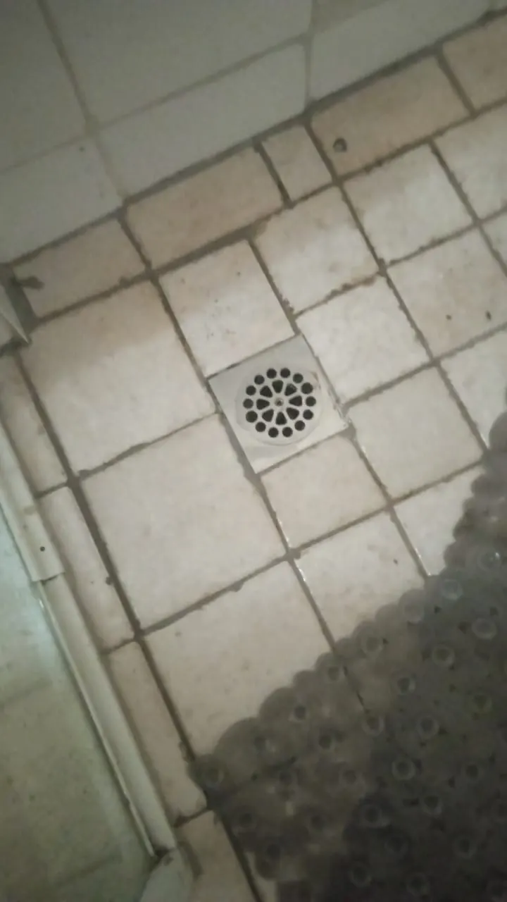 Small shower floor drain showing early signs of slow drainage