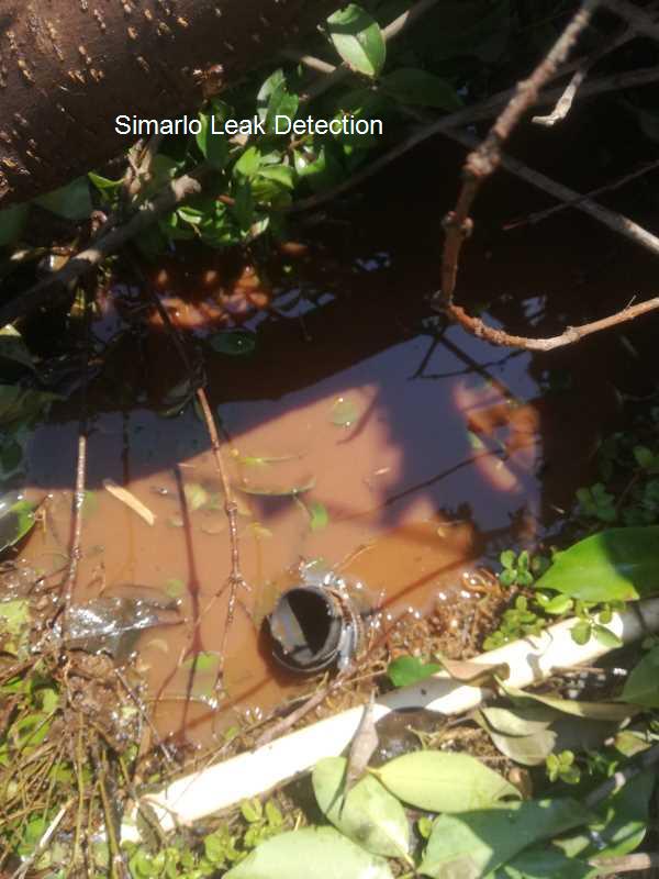 Simarlo Leak detection