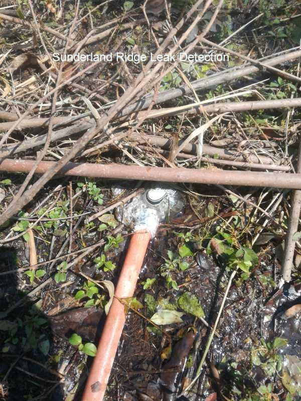 Sunderland Ridge Leak detection