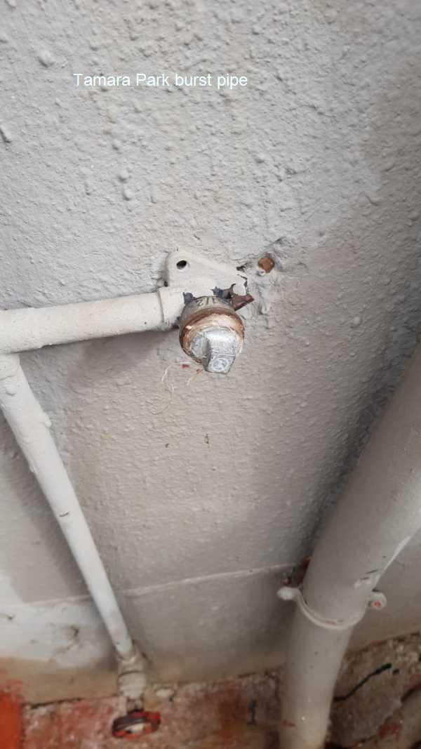 Tamara Park burst pipe repair