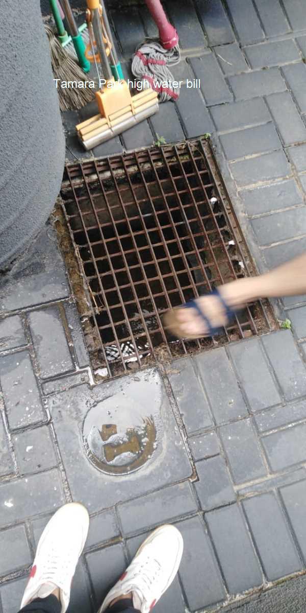 Reduce your high water bill in Tamara Park