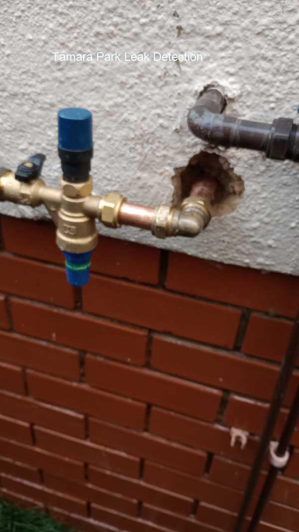 Tamara Park Leak detection